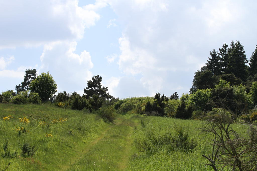 Volkesfeld Ferienwohnung Birkenhof מראה חיצוני תמונה